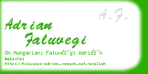 adrian faluvegi business card